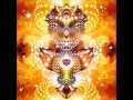 Ayahuasca Icaro ~ "Child Of The Universe" (Diego ...