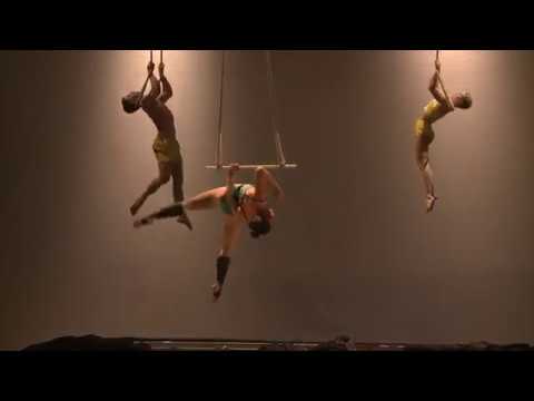 Cecilia Martin - 2016 (Dance Trapeze, Washington Trapeze, Acrobat)