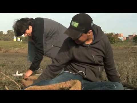 GREENAGERS CLASS OF 2015