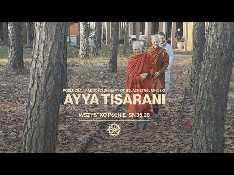 Wszystko płonie SN35.28 //Ayya Tisarani_8//02//2026_PL