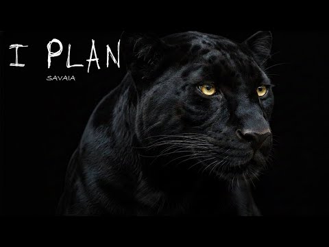 HUGEL x Topic x Arash feat. Daecolm | I PLAN  REMIX- (2026 Summer Afro House) –SAVAIAMUSIK