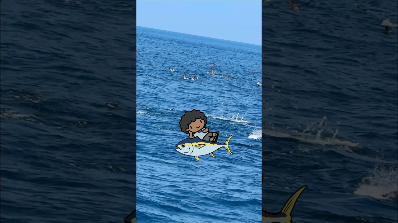 キハダ頑張りたい人へ