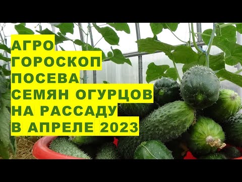 , title : 'Агрогороскоп посева семян огурцов на рассаду или в грунт в апреле 2023 года'