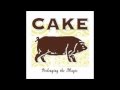 Cake - When You Sleep 