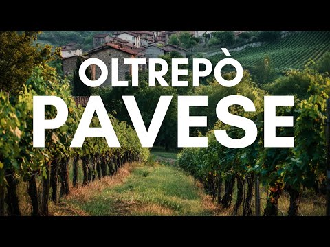 Oltrepò Pavese | Episodi da 1 a 8 | HD | Slow Tour by Patrizio Roversi