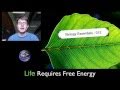 Life Requires Free Energy