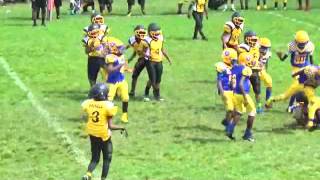 NORTH FLORIDA VS FORESTVIEW PEEWEE 2015