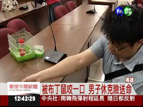遭"布丁鼠"咬傷 男休克險送命