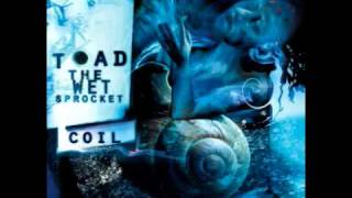 Toad The Wet Sprocket -Whatever I Fear
