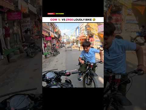 Louder Z900 Vs Cow 🐮 Funny Moment 🤣 || Cow Vs Superbike Battle #shorts #motovlog #rider