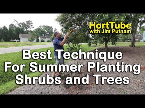 download lagu mp3 mp4 Can You Plant Trees In The Summer, download lagu Can You Plant Trees In The Summer gratis, unduh video klip Can You Plant Trees In The Summer