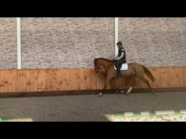 UNDER SADDLE VIDEO