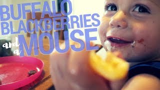 We'll Eat Buffalo, She'll Have a Mouse