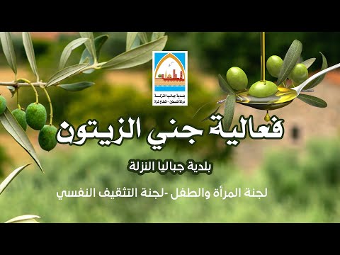 فعالية جني الزيتون شرق مدينة جباليا