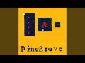 Need 2 Slow Pinegrove