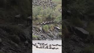 Download lagu The River Covenant: Bones of Israel in African Soil 🌍 #music #dj mp3