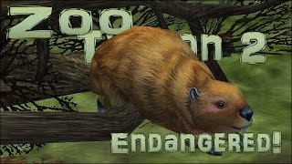 Endangered Quest! Bouncing Baby Beavers! - Episode #4