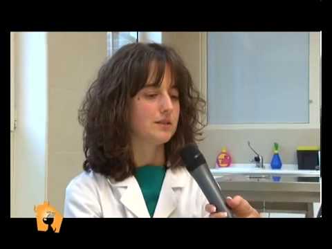 Trattamento di dipendenza alcolica in Armavir Siccome Gleb ha smesso di bere