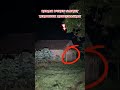 Rumah Dukun Santet Kejam Mati Mengenaskan Penampakan Penunggu Dukun Dukunsantet Explore