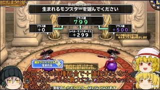 「DQモンパレ実況」ゆっくり達の最強パレード育成日記　677ページ目　魔女強や魔神の同種での配合など！！