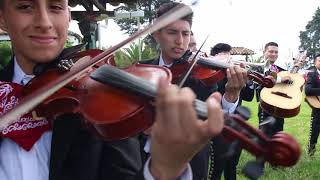 Video de Mariachi México de Mi Tierra