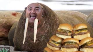 Aselin Debison - Out Of The Woods