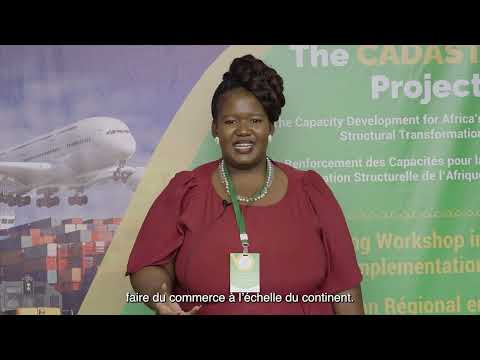 Testimonials from the CADAST Workshop