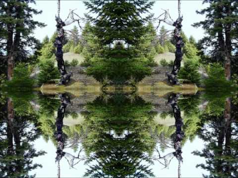 Lunar Asylum - The Crawl