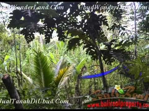 Beautiful Property 11.400 m2 Lahan View hutan dan Tebing di Ubud TJUB431 Beautiful Property 11.400 m2 Lahan View hutan dan Tebing di Ubud TJUB431