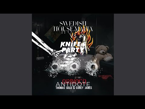 Orinoco vs. Antidote vs. Home [DJ Iass Mashup]