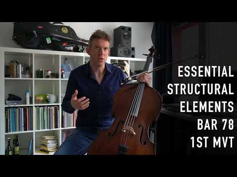 The Strad Masterclass: Johannes Moser on Brahms's Cello sonata no.1 op.38 (movements I,II)