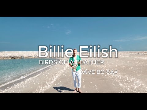 Billie Eilish - Birds of a Feather Saxophone Cover by Dave Bo