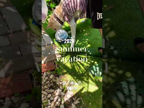 piscine-jardin-débordement-bain à remous-vue-imprenable-ville-chaises-longues piscine jardin