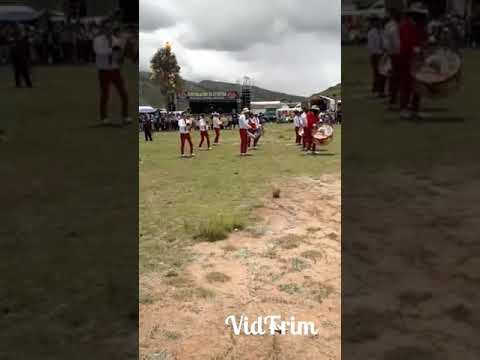 Tarqueada "JUVENTUD RITMOS" 2020