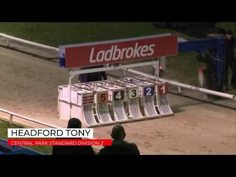 Headford Tony - Central Park Standard Division 2