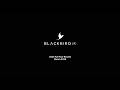 BLACKBIRD PLC Final Results For The Year Ended 31 December 2025