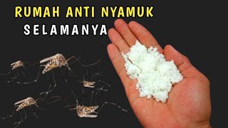 Download lagu CUKUP PAKAI INI AJA, rumah jadi Anti NYAMUK selamanya !! mp3