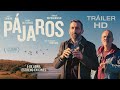PÁJAROS. Tráiler oficial. 5 de abril en cines.