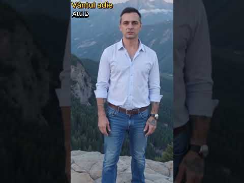 The Wind Blows - Atti.D | Original Relaxing Music #atti.d  #music #ai