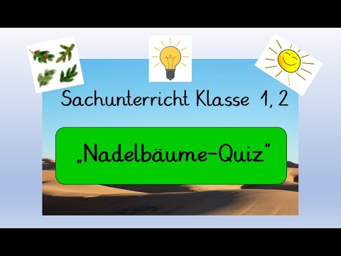 Sachunterricht Klasse 1 und 2: Nadelbäume-Quiz (Homeschooling)