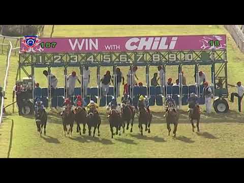 RM18 R7 - Jals Tiger | R.Fradd