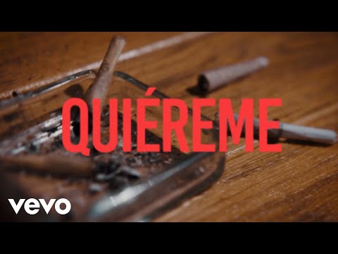 Sandro Malandro - Quiéreme (Visualizer)