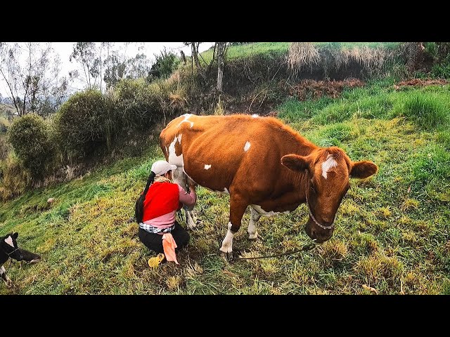 Villaggio nelle Ande: la vita agricola in un paese in campagna a 3600 m