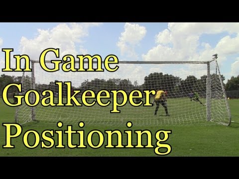 In Game Goalkeeper Positioning: Goalkeeper Training