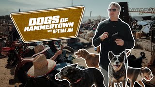 The Dogs of Hammertown | Ruff-ing it at King of the Hammers | Out There with OPTIMA Jim