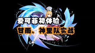 [原神] 愛可菲組隊與推薦yt主播pheei