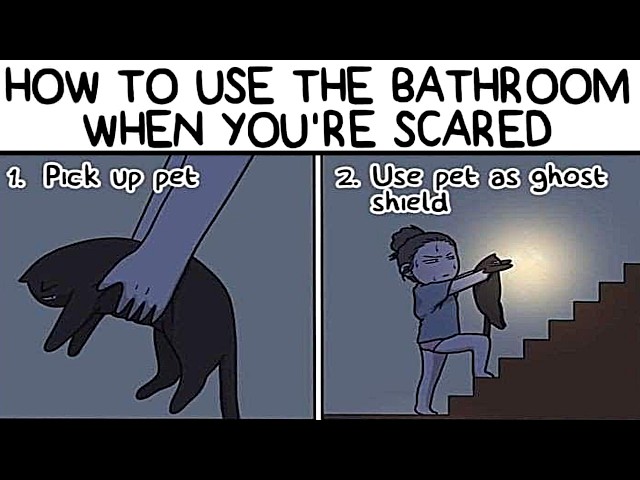Cartoon Memes