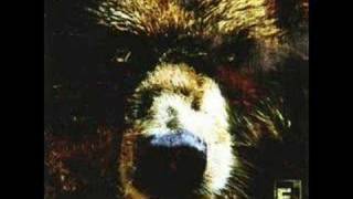 Element Eighty -  Boars