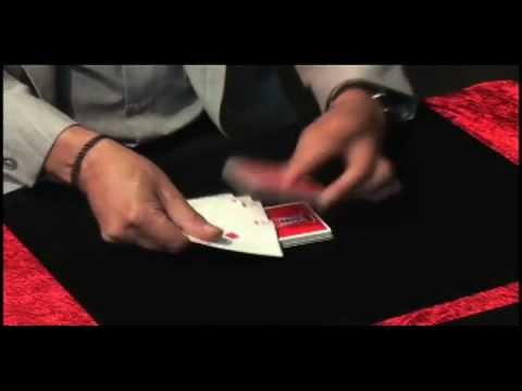 Trailer DVD Bebel Vallarino Inspiration