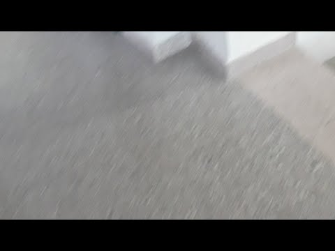 U14F S.Sabina Verde vs Volare V. Verde